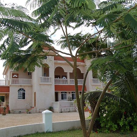 Serenity Sands Bed & Breakfast Corozal Bagian luar foto