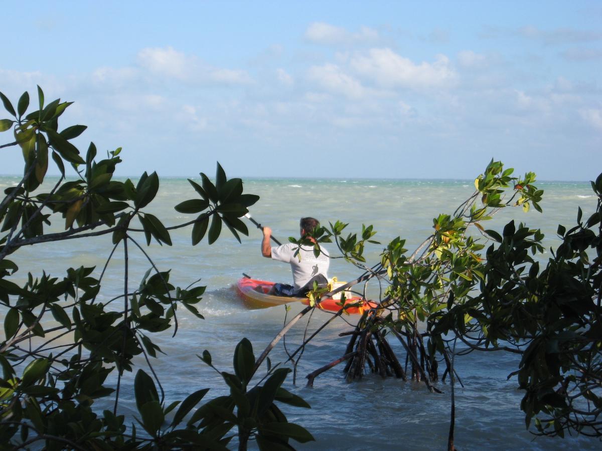 Serenity Sands Bed & Breakfast Corozal Bagian luar foto