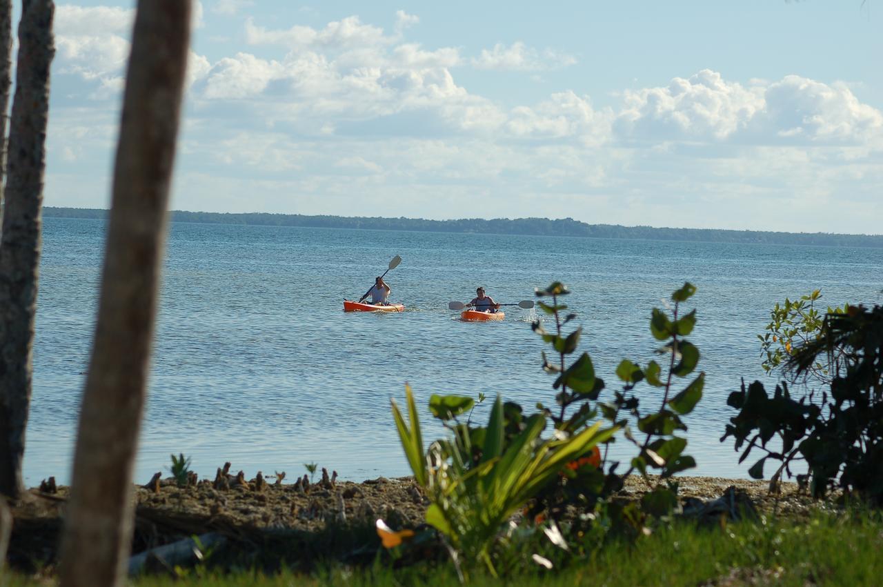 Serenity Sands Bed & Breakfast Corozal Bagian luar foto